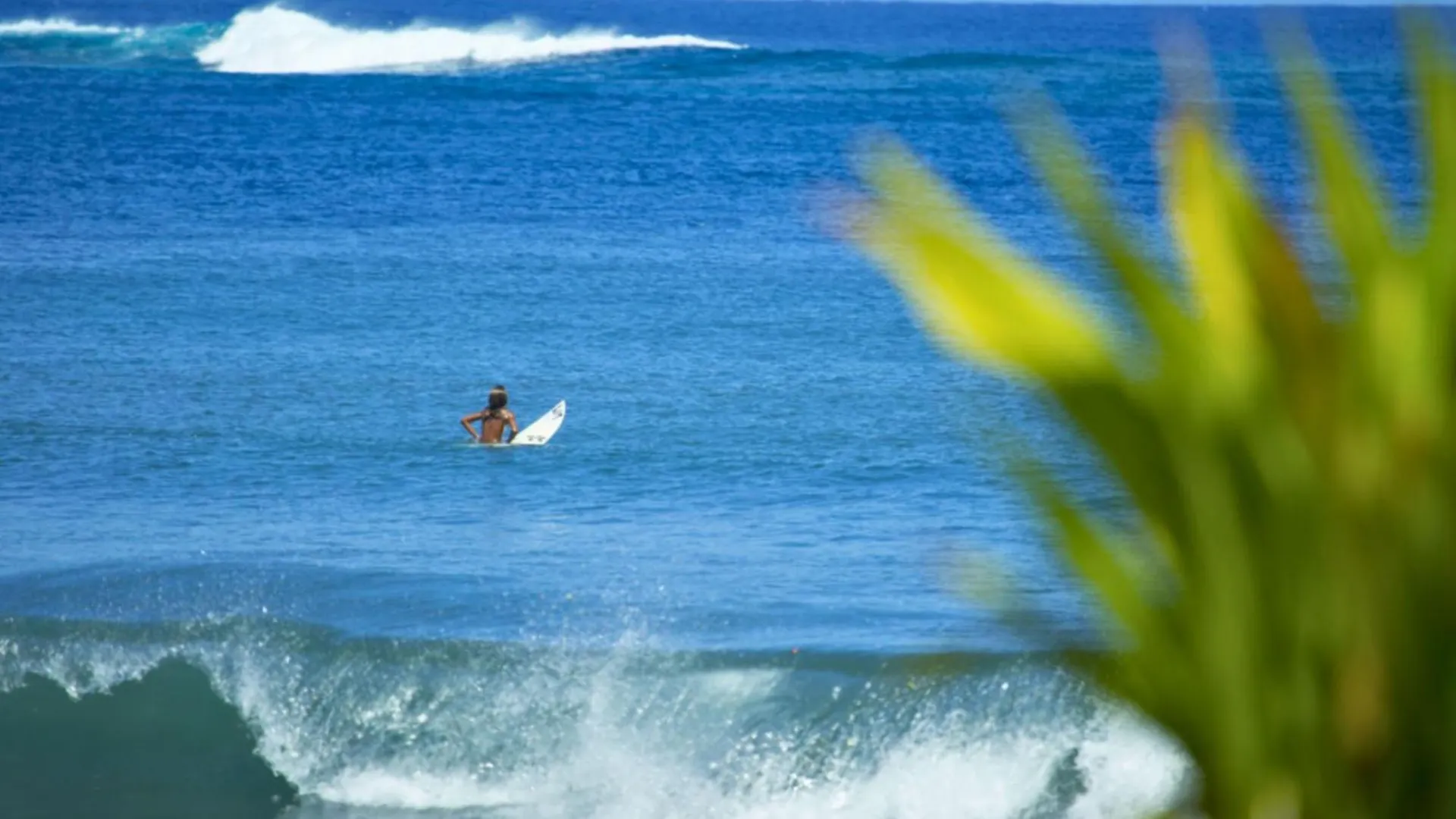 Holiday home Tahiti - Bungalow Taharuu Surf Hoe Papara French Polynesia